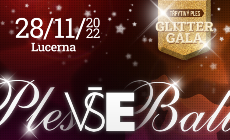 The Representative Ball VŠE /28 November/